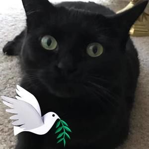 Meet your Posher, Ann